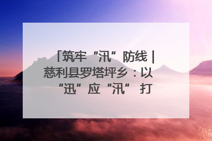 筑牢“汛”防线｜慈利县罗塔坪乡：以“迅”应“汛” 打赢暴雨防御战