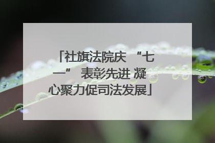 社旗法院庆 “七一” 表彰先进 凝心聚力促司法发展
