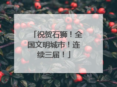 祝贺石狮！全国文明城市！连续三届！