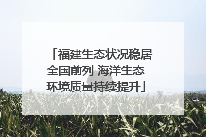 福建生态状况稳居全国前列 海洋生态环境质量持续提升
