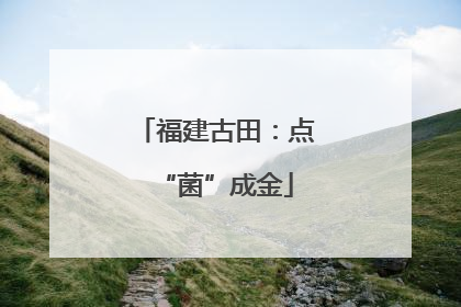 福建古田：点“菌”成金
