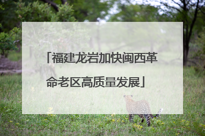 福建龙岩加快闽西革命老区高质量发展