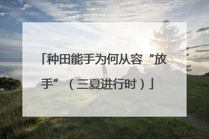 种田能手为何从容“放手”（三夏进行时）