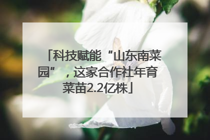 科技赋能“山东南菜园”，这家合作社年育菜苗2.2亿株