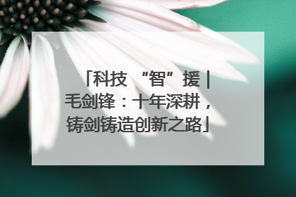 科技 “智”援｜毛剑锋：十年深耕，铸剑铸造创新之路