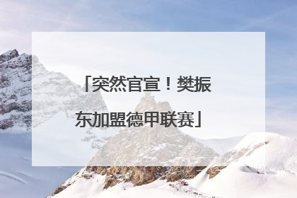 突然官宣！樊振东加盟德甲联赛