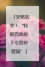 突然转变！“特朗普政府下令暂停搜捕”