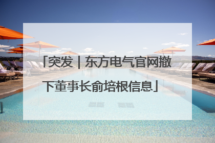 突发｜东方电气官网撤下董事长俞培根信息