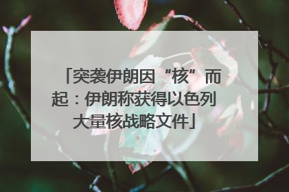 突袭伊朗因“核”而起：伊朗称获得以色列大量核战略文件