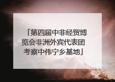 第四届中非经贸博览会非洲外宾代表团考察中伟宁乡基地