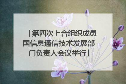 第四次上合组织成员国信息通信技术发展部门负责人会议举行