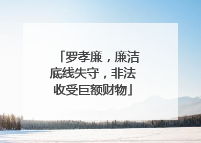 罗孝廉，廉洁底线失守，非法收受巨额财物
