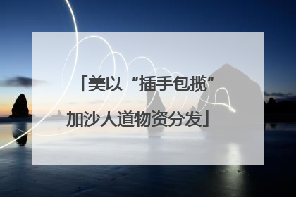 美以“插手包揽”加沙人道物资分发