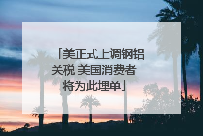 美正式上调钢铝关税 美国消费者将为此埋单