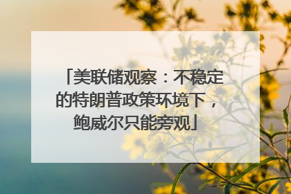 美联储观察：不稳定的特朗普政策环境下，鲍威尔只能旁观