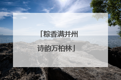 粽香满并州 诗韵万柏林