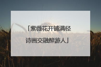 紫薇花开铺满径 诗画交融醉游人