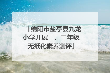 绵阳市盐亭县九龙小学开展一、二年级无纸化素养测评