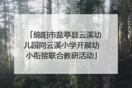 绵阳市盐亭县云溪幼儿园同云溪小学开展幼小衔接联合教研活动
