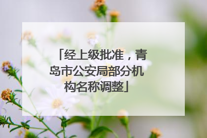 经上级批准，青岛市公安局部分机构名称调整