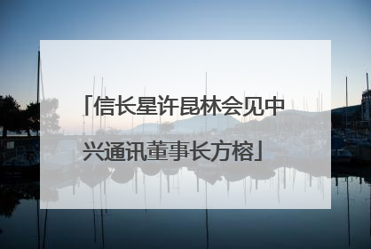 信长星许昆林会见中兴通讯董事长方榕