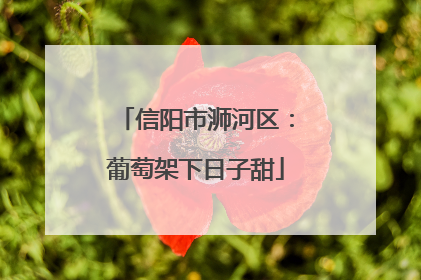 信阳市浉河区：葡萄架下日子甜