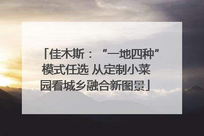 佳木斯：“一地四种” 模式任选 从定制小菜园看城乡融合新图景