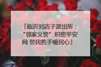 临沂刘店子派出所：“邻家义警”织密平安网 警民携手暖民心