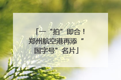 一“拍”即合！郑州航空港再添“国字号”名片