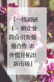一线调研丨一则企业简介引发强强合作 老外贸开拓出新市场