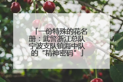 一份特殊的花名册：武警浙江总队宁波支队镇海中队的“精神密码”