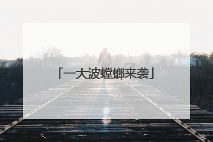 一大波螳螂来袭