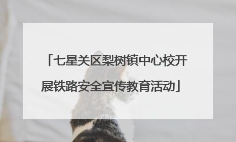 七星关区梨树镇中心校开展铁路安全宣传教育活动