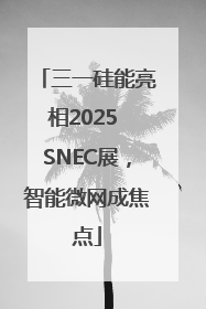 三一硅能亮相2025 SNEC展，智能微网成焦点