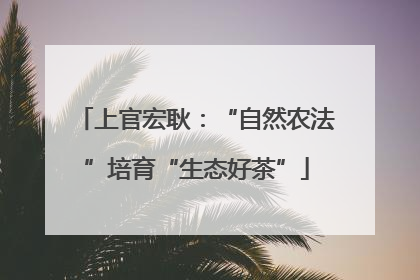 上官宏耿：“自然农法”培育“生态好茶”