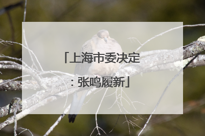 上海市委决定：张鸣履新