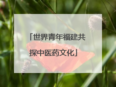 世界青年福建共探中医药文化