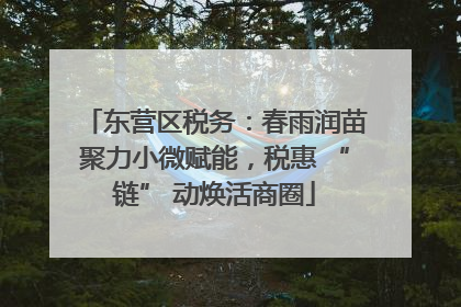 东营区税务：春雨润苗聚力小微赋能，税惠 “链” 动焕活商圈