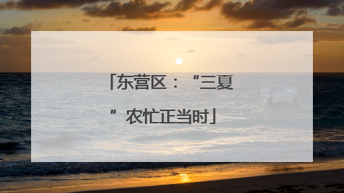 东营区：“三夏”农忙正当时