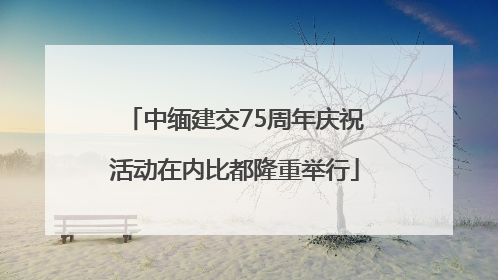 中缅建交75周年庆祝活动在内比都隆重举行