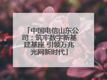 中国电信山东公司：筑牢数字新基建基座 引领万兆光网新时代