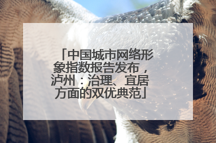 中国城市网络形象指数报告发布，泸州：治理、宜居方面的双优典范