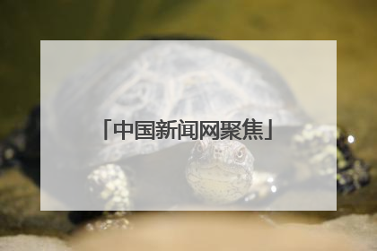中国新闻网聚焦