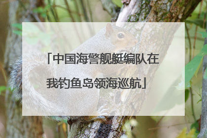 中国海警舰艇编队在我钓鱼岛领海巡航