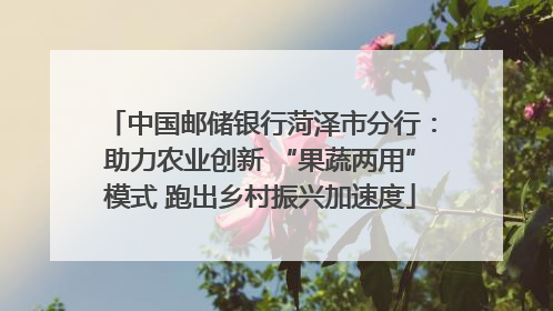 中国邮储银行菏泽市分行：助力农业创新 “果蔬两用”模式 跑出乡村振兴加速度