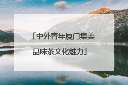 中外青年厦门集美品味茶文化魅力