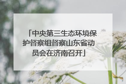 中央第三生态环境保护督察组督察山东省动员会在济南召开