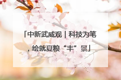 中新武威观｜科技为笔，绘就夏粮“丰”景