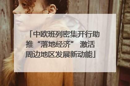 中欧班列密集开行助推“落地经济” 激活周边地区发展新动能