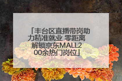 丰台区直播带岗助力精准就业 零距离解锁京东MALL200余热门岗位